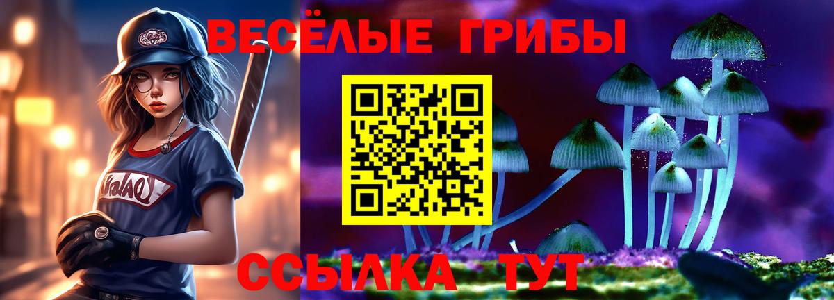 Псилоцибиновые грибы мицелий Полысаево